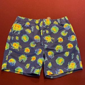 Men's Swim Trunks
